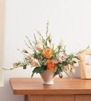 �t�����[�A�����W�����g