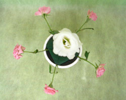 �t�����[�A�����W�����g�̍���