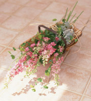 �t���b�V���t�����[