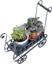 �t�����[�A�����W�����g�̉ԍ�