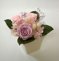 �v���U�[�u�h�t�����[�̃A�����W�����g