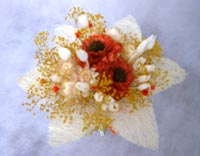 �h���C�t�����[�̃A�����W�����g