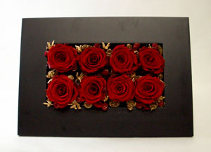 �v���U�[�u�h�t�����[�̃M�t�g�A�����W�����g