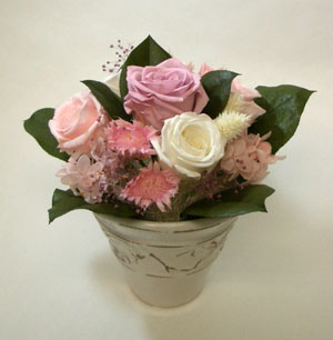 �v���U�[�u�h�t�����[�̃M�t�g�A�����W�����g