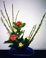 �����΂�