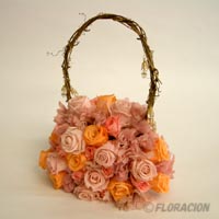 �F�ʌ�������e�L�X�g�@�ގ��F���z�F�@����u�[�P