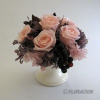 �F�ʌ�������e�L�X�g�@�Ώƃg�[���z�F�@�t�����[�A�����W�����g