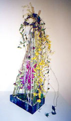 �t�����[�A�����W�����g��i