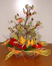 �n���[�E�B���̃t�����[�A�����W�����g