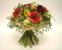 �t���b�V���t�����[�̉ԑ�