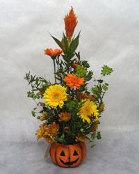 �n���[�E�B���̃t�����[�A�����W�����g