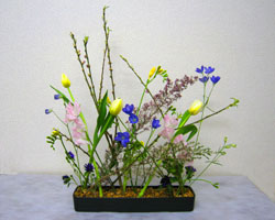 ���[���s�A���X�^�C���̃t�����[�A�����W�����g