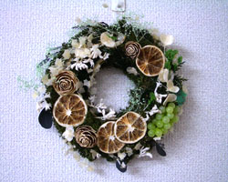 �h���C�t�����[�̕�̓��M�t�g���[�X