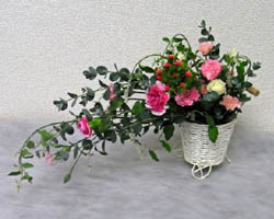 ���Ԃ̃t�����[�A�����W�����g