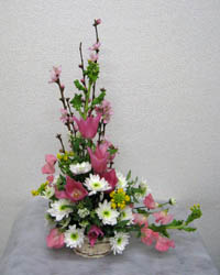 ���Ԃ̃t�����[�A�����W�����g