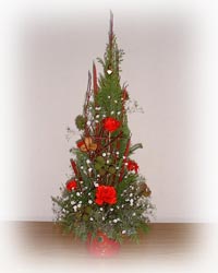 �t���b�V���t�����[�̃N���X�}�X�A�����W�����g