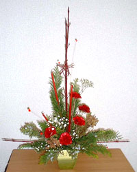 �t���b�V���t�����[�̃N���X�}�X�A�����W�����g