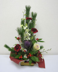 �t���b�V���t�����[�̂������A�����W�����g