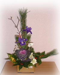 �t���b�V���t�����[�̂������A�����W�����g