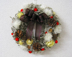 �h���C�t�����[�̃N���X�}�X���[�X