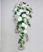 �u���C�_���u�[�P