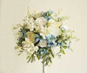 �u���C�_���u�[�P