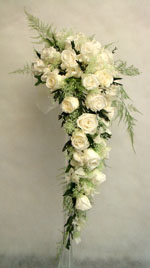 �v���U�[�u�h�t�����[�̃L���X�P�[�h�u�[�P