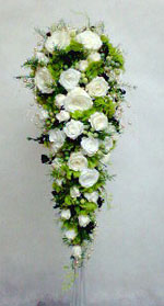 �v���U�[�u�h�t�����[�̃L���X�P�[�h�u�[�P