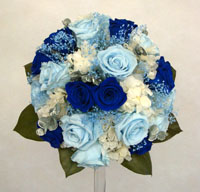 �u���C�_���u�[�P�i���E���h�j