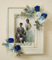 �v���U�[�u�h�t�����[�̃t�H�g�X�^���h