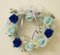 �v���U�[�u�h�t�����[�̃��[�X