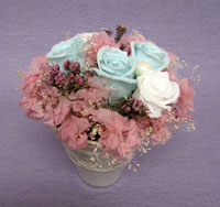 �v���U�[�u�h�t�����[�̃A�����W�����g