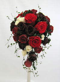 �v���U�[�u�h�t�����[�̃e�B�A�h���b�v�u�[�P