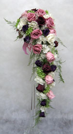 �v���U�[�u�h�t�����[�̃L���X�P�[�h�u�[�P