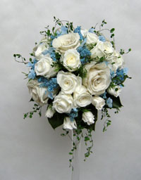 �v���U�[�u�h�t�����[�̎���u�[�P