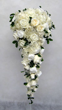 �v���U�[�u�h�t�����[�̃L���X�P�[�h�u�[�P