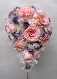 �v���U�[�u�h�t�����[�̃e�B�A�h���b�v�u�[�P