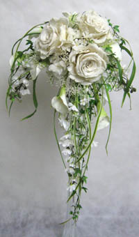 �v���U�[�u�h�t�����[�̃L���X�P�[�h�u�[�P