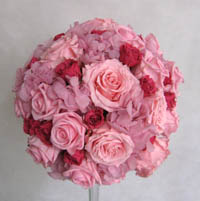 �v���U�[�u�h�t�����[�̃��E���h�u�[�P