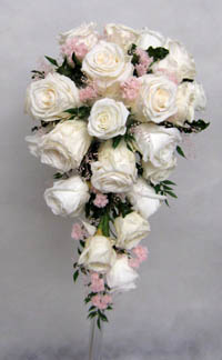 �v���U�[�u�h�t�����[�̃L���X�P�[�h�u�[�P