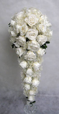 �v���U�[�u�h�t�����[�̃L���X�P�[�h�u�[�P