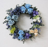 �v���U�[�u�h�t�����[�̑���p���[�X