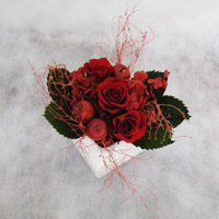 �v���U�[�u�h�t�����[�̃u���C�_������