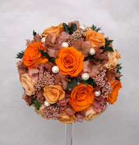 ����u�[�P�@�v���U�[�u�h�t�����[�@���E���h