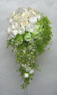 ����u�[�P�@�v���U�[�u�h�t�����[�@�e�B�A��