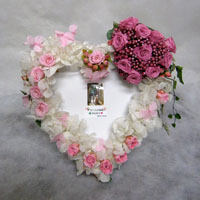 ����@�T�v���C�Y�M�t�g�@�L�O�i