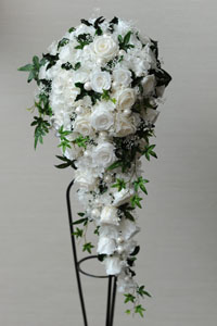 ����@�L���X�P�[�h�u�[�P�@�v���U�[�u�h�t�����[