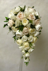 ����@�e�B�A�h���b�v�u�[�P�@�v���U�[�u�h�t�����[