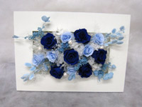 ����@����p�A�����W�����g�@�v���U�[�u�h�t�����[