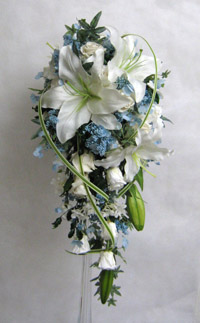 ����@�V���N�t�����[�@�L���X�P�[�h�u�[�P�@